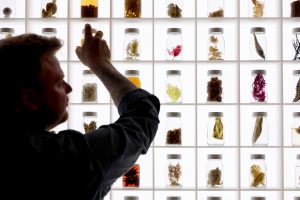 Alchemist in Copenhagen, Denmark Restaurant Review