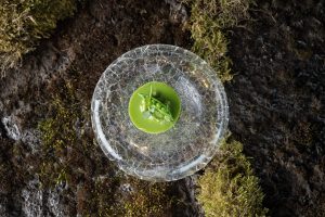 Moss Grindavík Suðurnes Iceland restaurant review