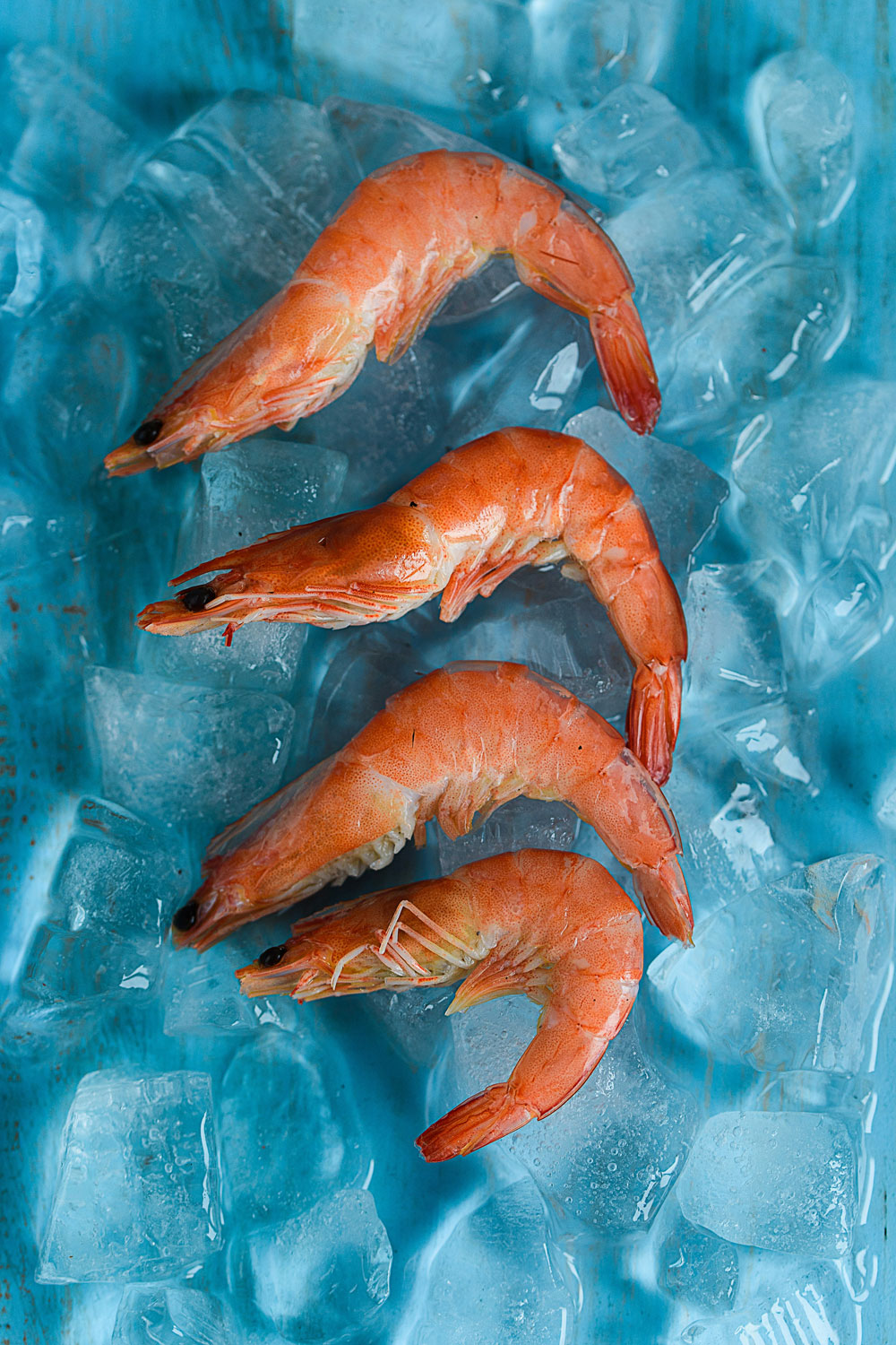 Shrimp Nordic food