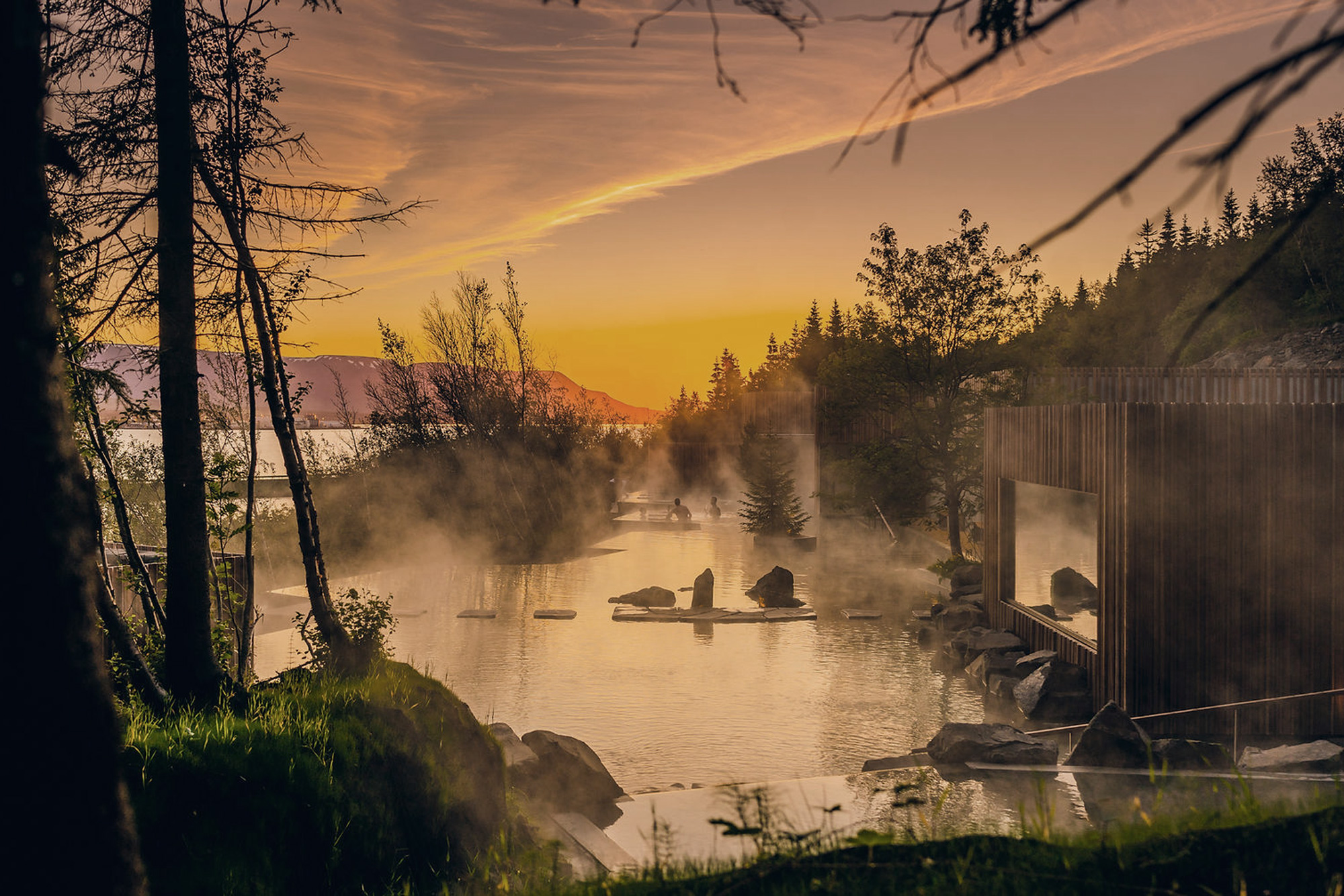 Forest Lagoon Norðurland Eystra Iceland hot springs thermal bath