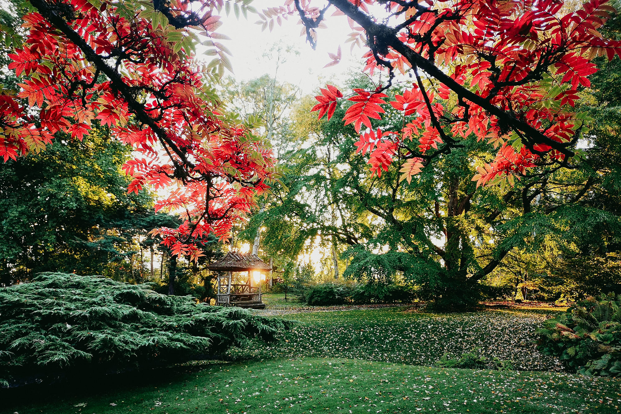 Norrvikens Trädgårdar Båstad Skåne Sweden garden review