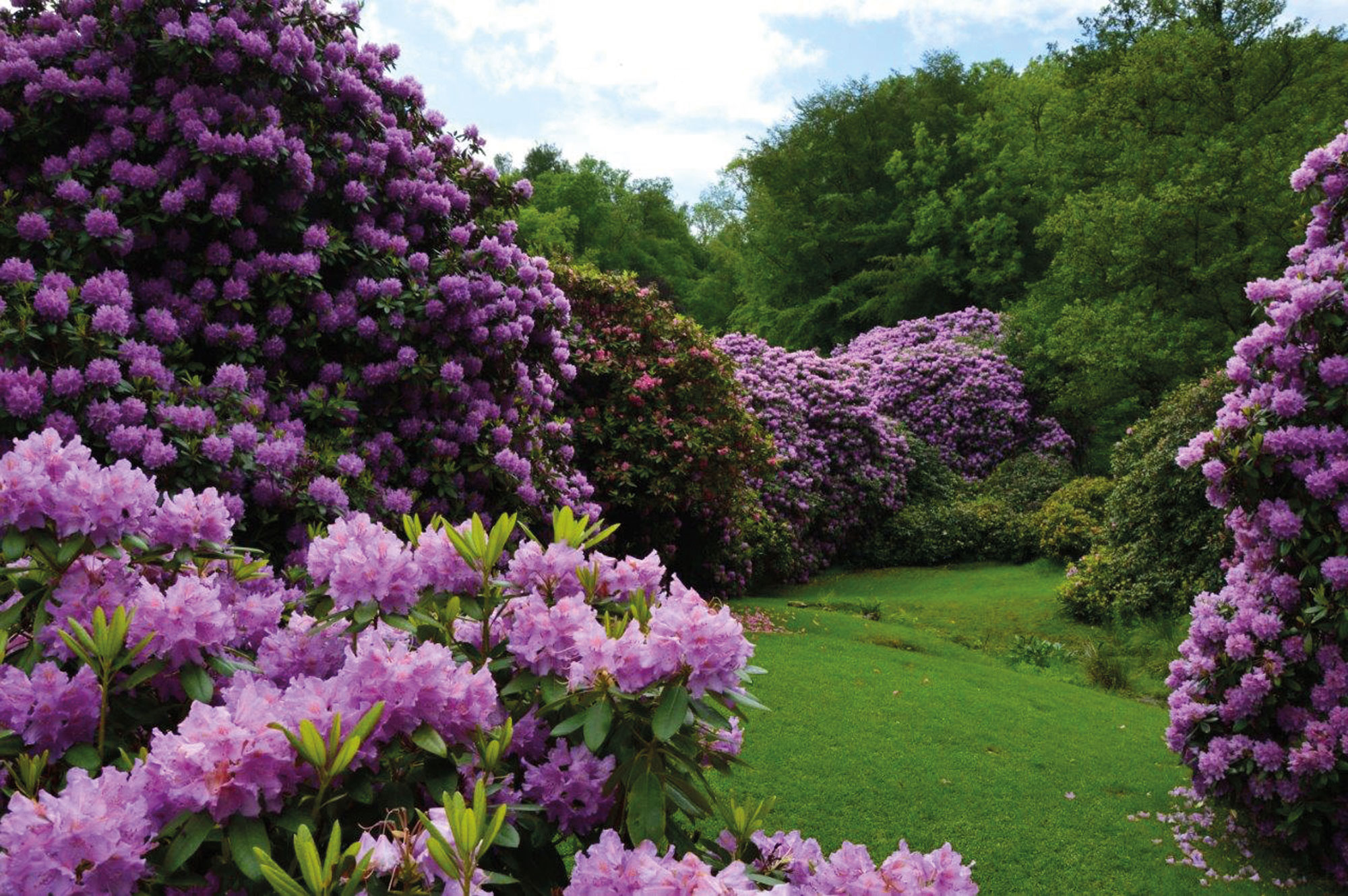 Norrvikens Trädgårdar Båstad Skåne Sweden garden review