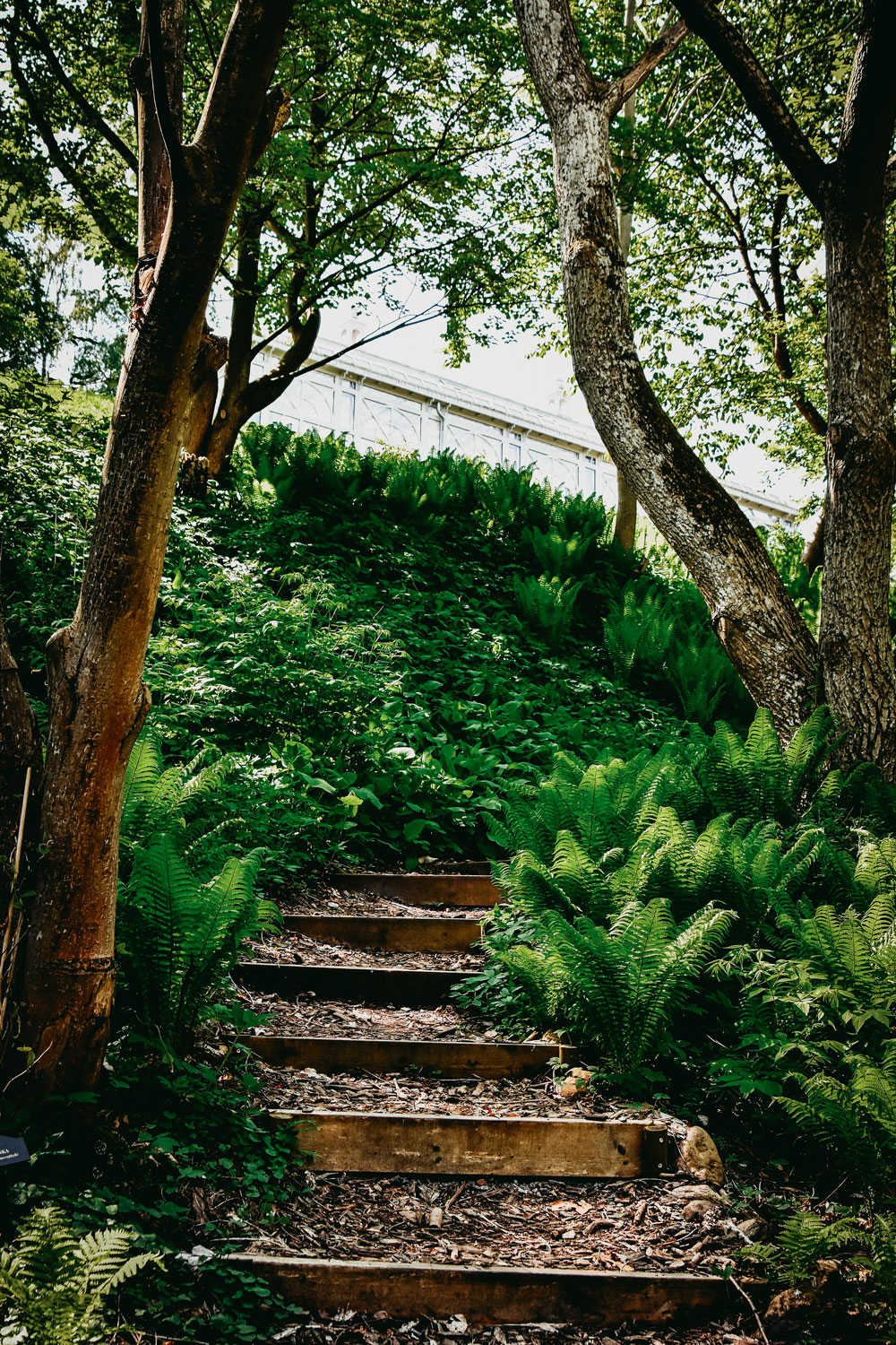 Norrvikens Trädgårdar Båstad Skåne Sweden garden review