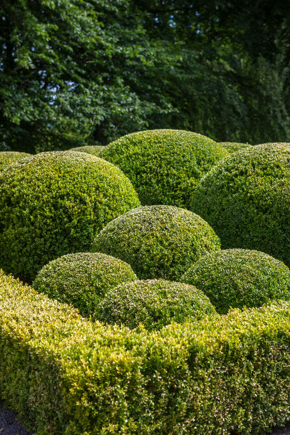 Norrvikens Trädgårdar Båstad Skåne Sweden garden review