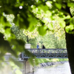 Djurgården Stockholm Sweden travel guide